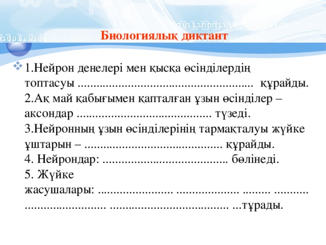 Биологиялық диктант 1.Нейрон денелері мен қысқа өсінділердің топтасуы ........................................................ құрайды.  2.Ақ май қабығымен қапталған ұзын өсінділер – аксондар ........................................... түзеді.  3.Нейронның ұзын өсінділерінің тармақталуы жүйке ұштарын – ............................................ құрайды.  4. Нейрондар: ........................................ бөлінеді.  5. Жүйке жасушалары: ........................ .................... ......... ..................................... ...................................... ...тұрады. 