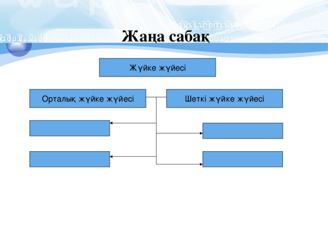 Жаңа сабақ Жүйке жүйесі Орталық жүйке жүйесі Шеткі жүйке жүйесі 