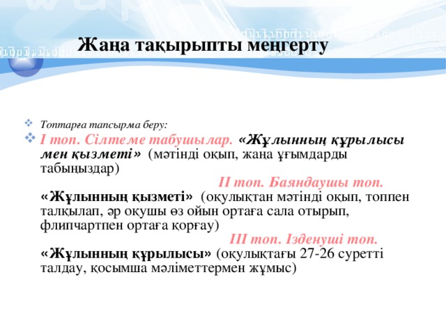 Жаңа тақырыпты меңгерту Топтарға тапсырма беру: І топ. Сілтеме табушылар.  « Жұлынның құрылысы мен қызметі » (мәтінді оқып, жаңа ұғымдарды табыңыздар) ІІ топ. Баяндаушы топ.  « Жұлынның қызметі » (оқулықтан мәтінді оқып, топпен талқылап, әр оқушы өз ойын ортаға сала отырып, флипчартпен ортаға қорғау) ІІІ топ. Ізденуші топ.  « Жұлынның құрылысы » (оқулықтағы 27-26 суретті талдау, қосымша мәліметтермен жұмыс) 