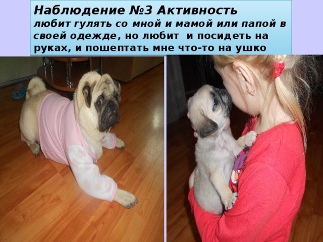 Наблюдение №3 Активность  любит гулять со мной и мамой или папой в своей одежде , но любит и посидеть на руках, и пошептать мне что-то на ушко 