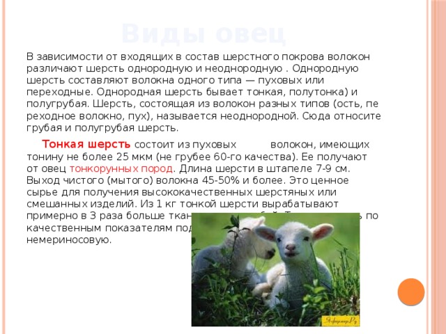Виды овец   В зависимости от входящих в состав шерстного покрова волокон различают шерсть однородную и неоднородную . Однородную шерсть составляют волокна одного типа — пуховых или переходные. Однородная шерсть бывает тонкая, полутонка) и полугрубая. Шерсть, состоящая из волокон разных типов (ость, пе реходное волокно, пух), называется неоднородной. Сюда относите грубая и полугрубая шерсть.  Тонкая шерсть состоит из пуховых волокон, имеющих тонину не более 25 мкм (не грубее 60-го качества). Ее получают от овец тонкорунных пород . Длина шерсти в штапеле 7-9 см. Выход чистого (мытого) волокна 45-50% и более. Это ценное сырье для получения высококачественных шерстяных или смешанных изделий. Из 1 кг тонкой шерсти вырабатывают примерно в 3 раза больше ткани, чем из грубой. Тонкая шерсть по качественным показателям подразделяется на мериносовую и немериносовую. 