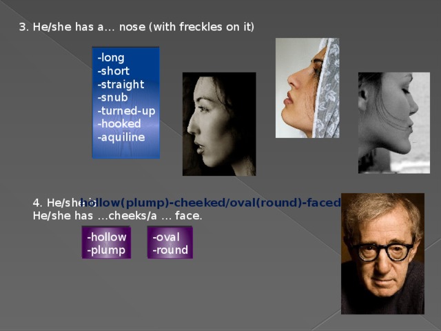 3. He/she has a… nose (with freckles on it) -long -short -straight -snub -turned-up -hooked -aquiline 4. He/she is hollow(plump)-cheeked/oval(round)-faced. He/she has …cheeks/a … face. -oval -hollow -round -plump 