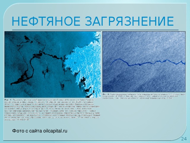НЕФТЯНОЕ ЗАГРЯЗНЕНИЕ Фото с сайта oilcapital.ru  