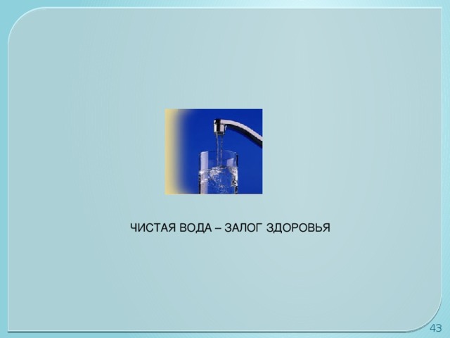 ЧИСТАЯ ВОДА – ЗАЛОГ ЗДОРОВЬЯ 30 