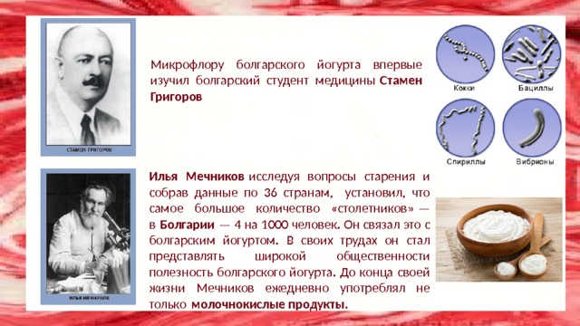 Микрофлору болгарского йогурта впервые изучил болгарский студент медицины  Стамен Григоров Илья Мечников  исследуя вопросы старения и собрав данные по 36 странам, установил, что самое большое количество «столетников» — в  Болгарии  — 4 на 1000 человек. Он связал это с болгарским йогуртом. В своих трудах он стал представлять широкой общественности полезность болгарского йогурта. До конца своей жизни Мечников ежедневно употреблял не только  молочнокислые продукты. 