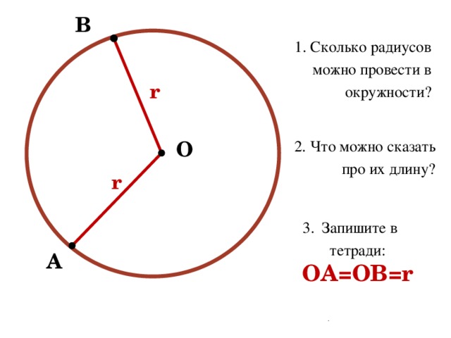 2 радиуса. Сколько радиусов у окружности. Что можно провести в окружности. Сколько радиусов можно провести в окружности. Сколько радиусов в круге.
