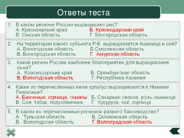 Ответы теста 