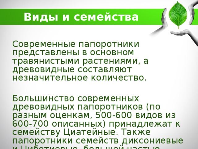"Папоротники, хвощи, плауны" ПРЕЗЕНТАЦИЯ ДЛЯ УРОКА БИОЛОГИИ В 5 КЛАССЕ