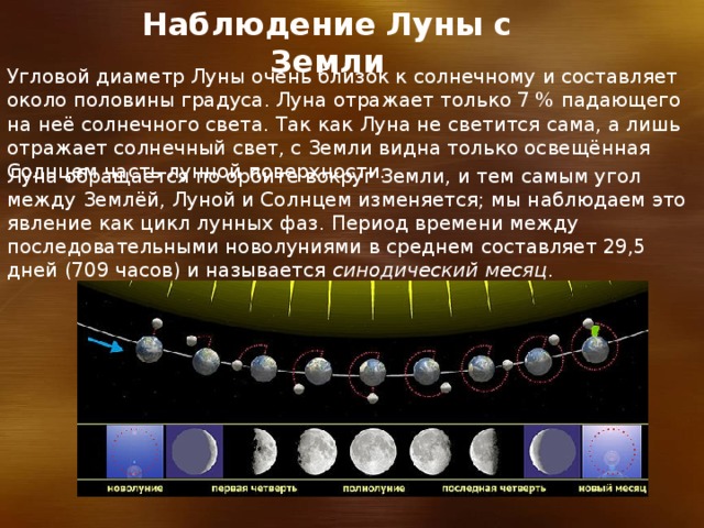 Наблюдение Луны с Земли Угловой диаметр Луны очень близок к солнечному и составляет около половины градуса. Луна отражает только 7 % падающего на неё солнечного света. Так как Луна не светится сама, а лишь отражает солнечный свет, с Земли видна только освещённая Солнцем часть лунной поверхности. Луна обращается по орбите вокруг Земли, и тем самым угол между Землёй, Луной и Солнцем изменяется; мы наблюдаем это явление как цикл лунных фаз. Период времени между последовательными новолуниями в среднем составляет 29,5 дней (709 часов) и называется синодический месяц . 