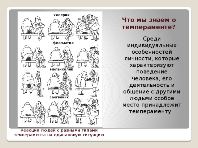Что мы знаем о темпераменте? холерик Среди индивидуальных особенностей личности, которые характеризуют поведение человека, его деятельность и общение с другими людьми особое место принадлежит темпераменту. флегматик меланхолик сангвиник Реакция людей с разными типами темперамента на одинаковую ситуацию