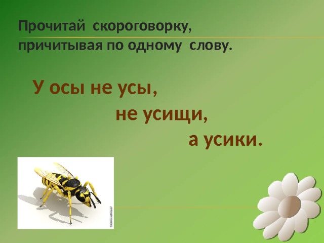 У осы не усы а усики рисунок