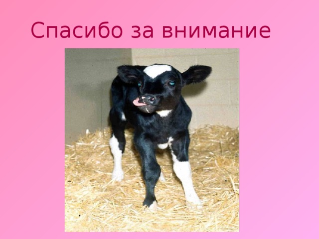 Спасибо за внимание 