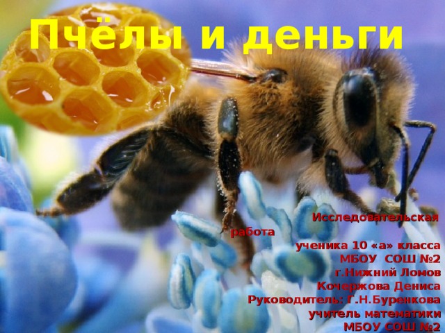 Пчёлы и деньги  Исследовательская работа  ученика 10 «а» класса  МБОУ СОШ №2 г.Нижний Ломов Кочержова Дениса Руководитель: Г.Н.Буренкова учитель математики МБОУ СОШ №2 г. Нижний Ломов 