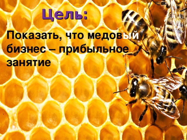 Цель:  Показать, что медов ый бизнес – прибыльное занятие 