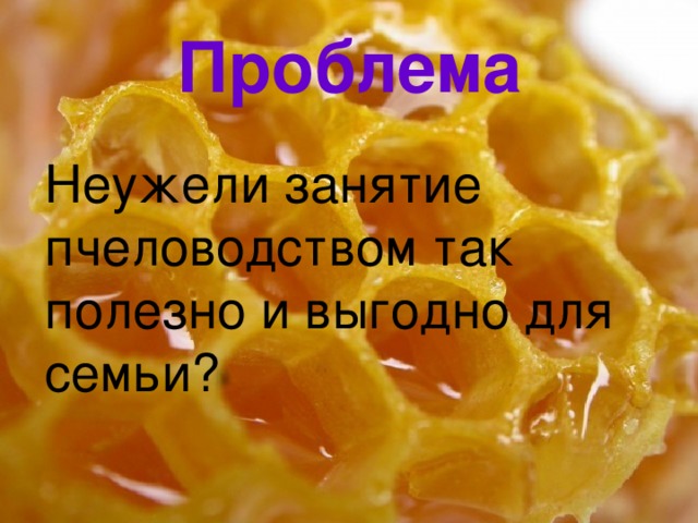 Проблема Неужели занятие пчеловодством так полезно и выгодно для семьи? 