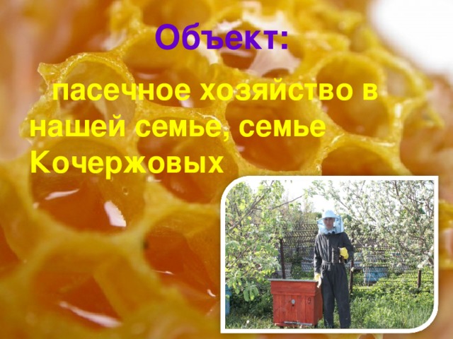  Объект:   пасечное хозяйство в нашей семье, семье Кочержовых 