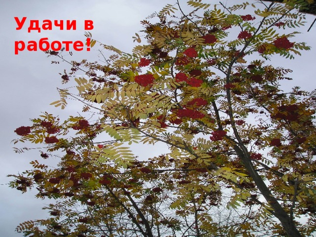 Удачи в работе! Удачи в работе! 