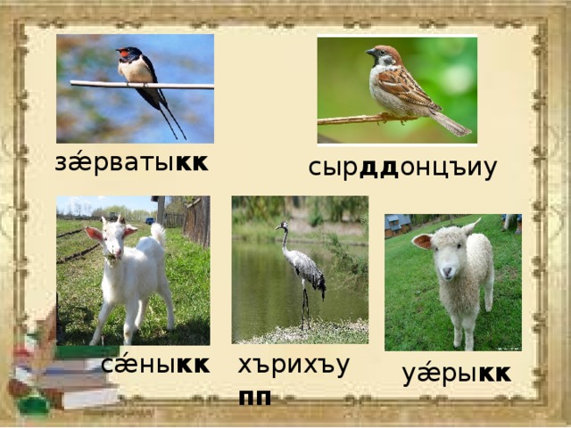 Хъаласонта ама амхъаласонта это что. Смотреть фото Хъаласонта ама амхъаласонта это что. Смотреть картинку Хъаласонта ама амхъаласонта это что. Картинка про Хъаласонта ама амхъаласонта это что. Фото Хъаласонта ама амхъаласонта это что