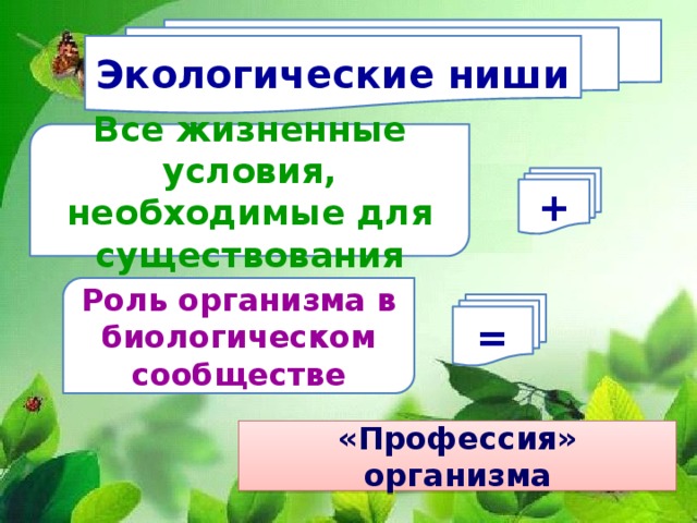 Экологическая ниша презентация 11 класс