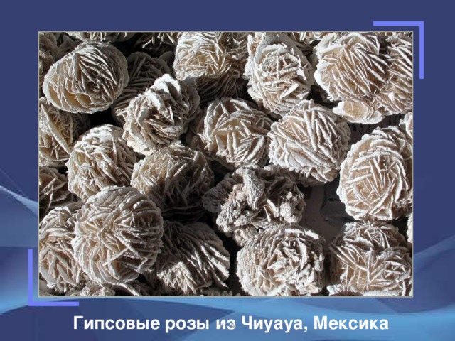 Гипсовые розы из Чиуауа, Мексика ГСА 