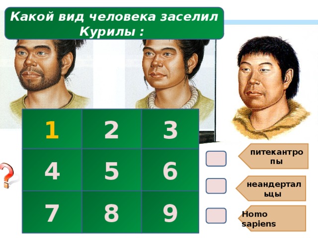 питекантропы Homo sapiens неандертальцы Какой вид человека заселил Курилы : В2. 1 2 3 5 6 4 7 8 9 