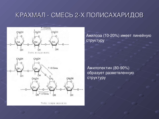 КРАХМАЛ - СМЕСЬ 2-Х ПОЛИСАХАРИДОВ Амилоза (10-20%) имеет линейную структуру Амилопектин (80-90%) образует разветвленную структуру 