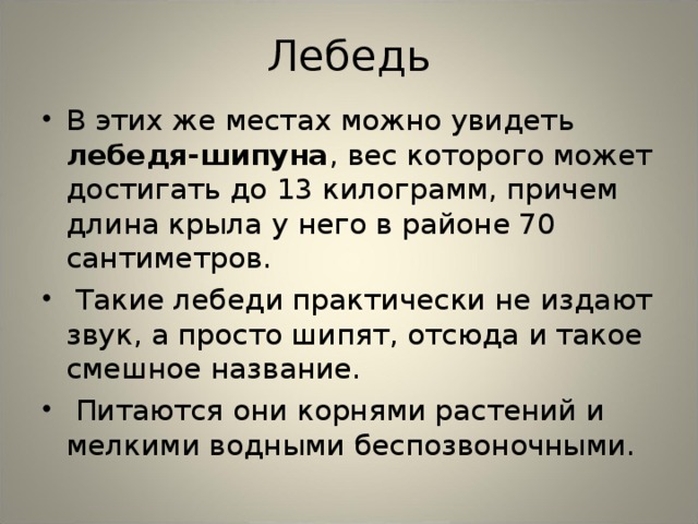 Лебедь В этих же местах можно увидеть лебедя-шипуна , вес которого может достигать до 13 килограмм, причем длина крыла у него в районе 70 сантиметров.  Такие лебеди практически не издают звук, а просто шипят, отсюда и такое смешное название.  Питаются они корнями растений и мелкими водными беспозвоночными.  