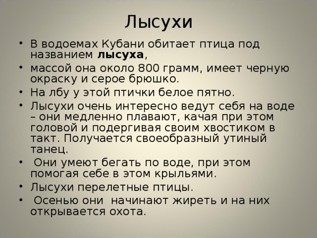 Лысухи В водоемах Кубани обитает птица под названием лысуха , массой она около 800 грамм, имеет черную окраску и серое брюшко. На лбу у этой птички белое пятно. Лысухи очень интересно ведут себя на воде – они медленно плавают, качая при этом головой и подергивая своим хвостиком в такт. Получается своеобразный утиный танец.  Они умеют бегать по воде, при этом помогая себе в этом крыльями. Лысухи перелетные птицы.  Осенью они начинают жиреть и на них открывается охота.  