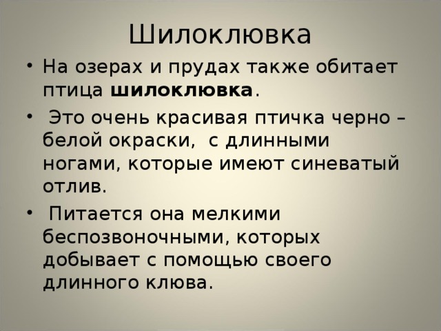 Шилоклювка На озерах и прудах также обитает птица шилоклювка .  Это очень красивая птичка черно – белой окраски, с длинными ногами, которые имеют синеватый отлив.  Питается она мелкими беспозвоночными, которых добывает с помощью своего длинного клюва. 