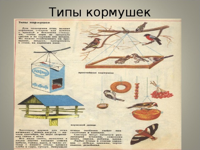 Типы кормушек 