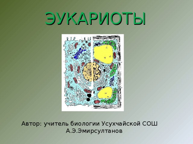  ЭУКАРИОТЫ Автор: учитель биологии Усухчайской СОШ А.Э.Эмирсултанов 