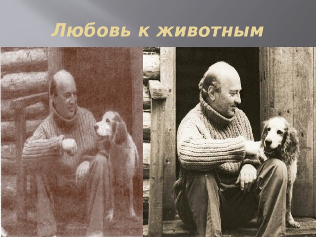 Любовь к животным 
