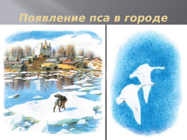 Появление пса в городе 