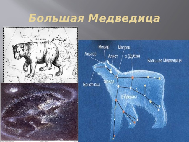Большая Медведица 