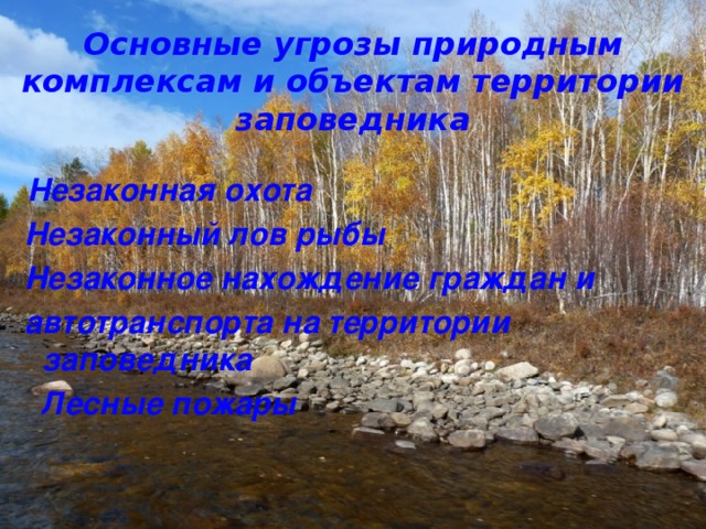 Основные угрозы природным комплексам и объектам территории заповедника  Незаконная охота  Незаконный лов рыбы  Незаконное нахождение граждан и  автотранспорта на территории заповедника  Лесные пожары 