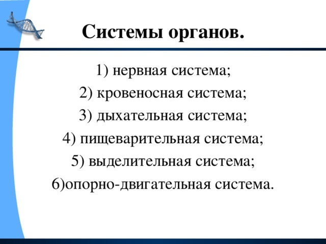 Системы органов. 1) нервная система; 2) кровеносная система; 3) дыхательная система; 4) пищеварительная система; 5) выделительная система; 6)опорно-двигательная система.