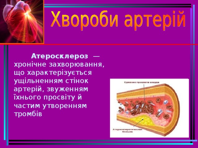 Сердечно сосудистая система презентация биология 8 класс