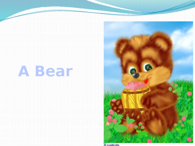 A Bear 