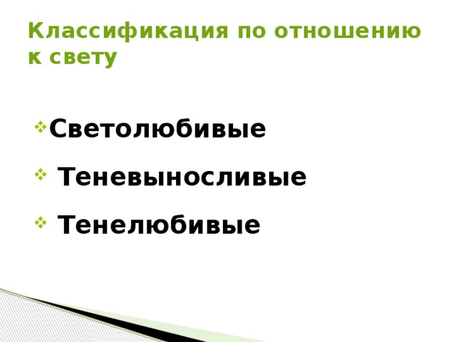 Классификация по отношению к свету Светолюбивые  Теневыносливые  Тенелюбивые  