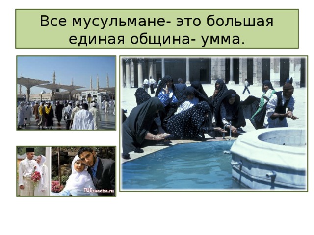Все мусульмане- это большая единая община- умма. 
