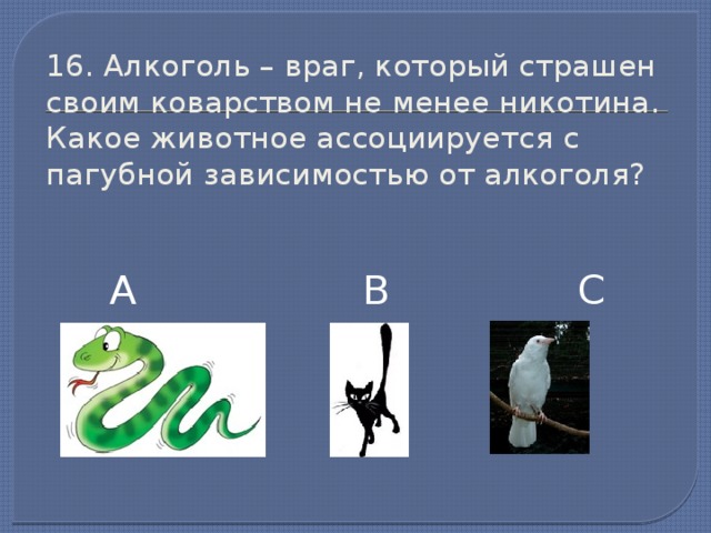 16. Алкоголь – враг, который страшен своим коварством не менее никотина. Какое животное ассоциируется с пагубной зависимостью от алкоголя? А В С