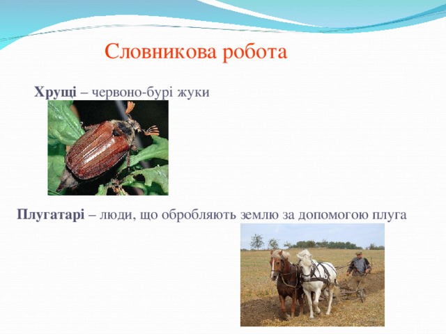 Словникова робота Хрущі – червоно-бурі жуки Плугатарі – люди, що обробляють землю за допомогою плуга