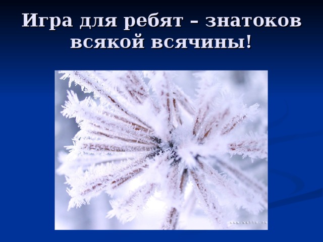 Игра для ребят – знатоков всякой всячины! 