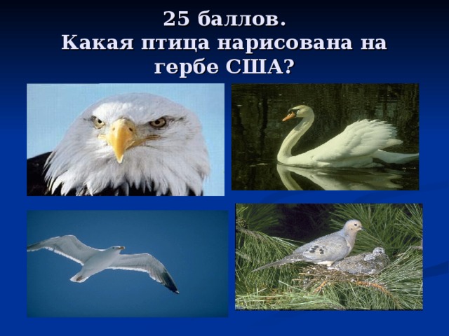25 баллов.  Какая птица нарисована на гербе США? 