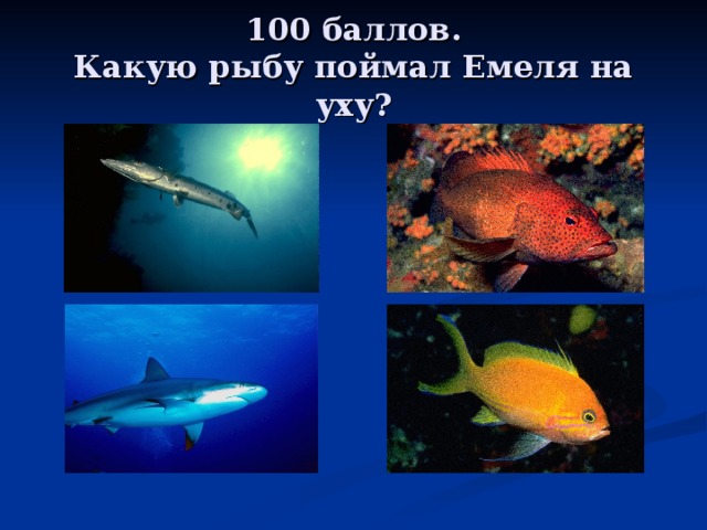 100 баллов.  Какую рыбу поймал Емеля на уху? 
