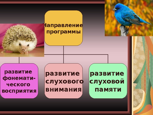 Направление программы развитие фонемати- ческого восприятия развитие  слухового внимания развитие слуховой памяти 
