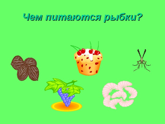 Чем питаются рыбки? 
