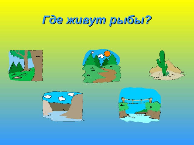 Где живут рыбы? 
