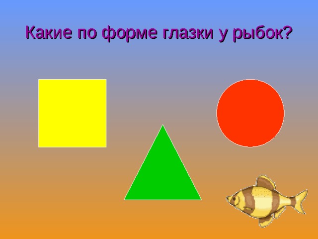 Какие по форме глазки у рыбок? 