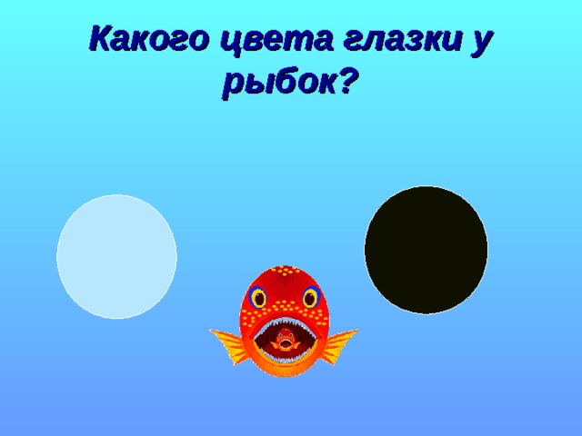 Какого цвета глазки у рыбок? 